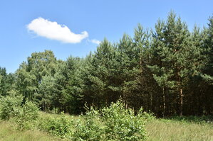 an2_005130.jpg