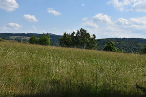 an2_005134.jpg