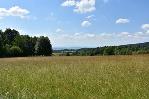 an2_005135.jpg