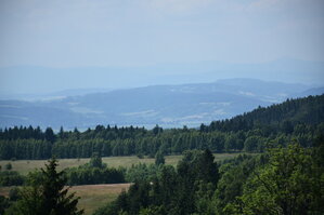 an2_005136.jpg