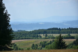 an2_005137.jpg