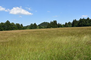 an2_005138.jpg