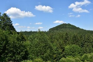 an2_005140.jpg