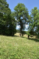 an2_005145.jpg