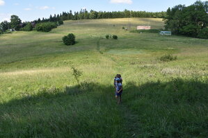 an2_005149.jpg