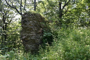 an2_005163.jpg