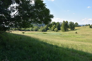 an2_005168.jpg