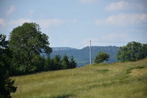 an2_005169.jpg