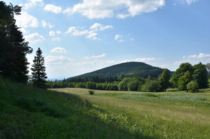 an2_005170.jpg