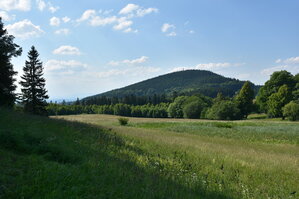 an2_005171.jpg