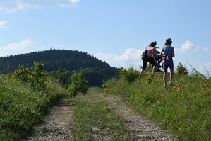 an2_005182.jpg