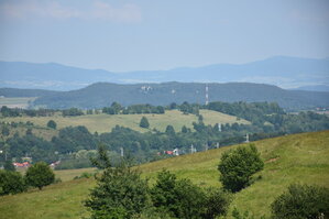 an2_005195.jpg