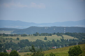 an2_005196.jpg
