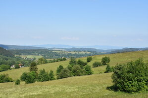 an2_005197.jpg