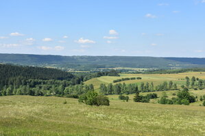 an2_005199.jpg