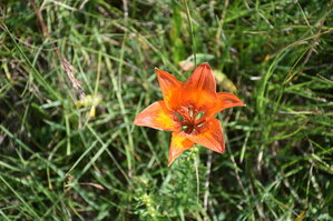 an2_005203.jpg