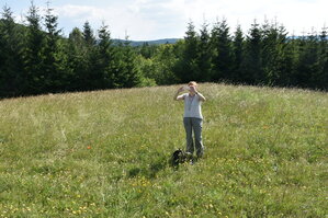 an2_005210.jpg