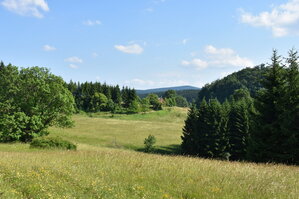 an2_005214.jpg