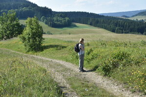 an2_005227.jpg