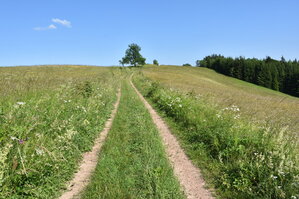 an2_005230.jpg