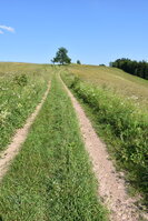 an2_005231.jpg