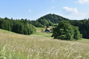 an2_005232.jpg