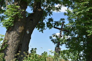 an2_005235.jpg