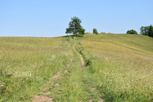 an2_005236.jpg