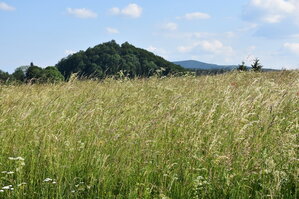 an2_005241.jpg