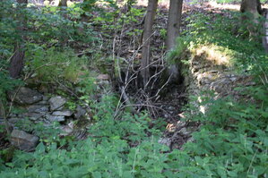 an2_005242.jpg