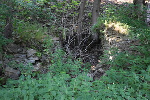 an2_005243.jpg