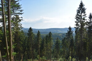 an2_005248.jpg