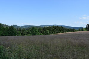 an2_005251.jpg