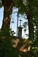 an2_005254.jpg