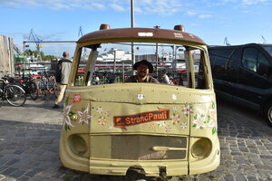 Bedla v hippies busu.