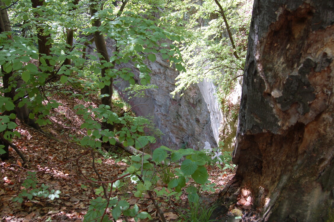 Hranická propast.