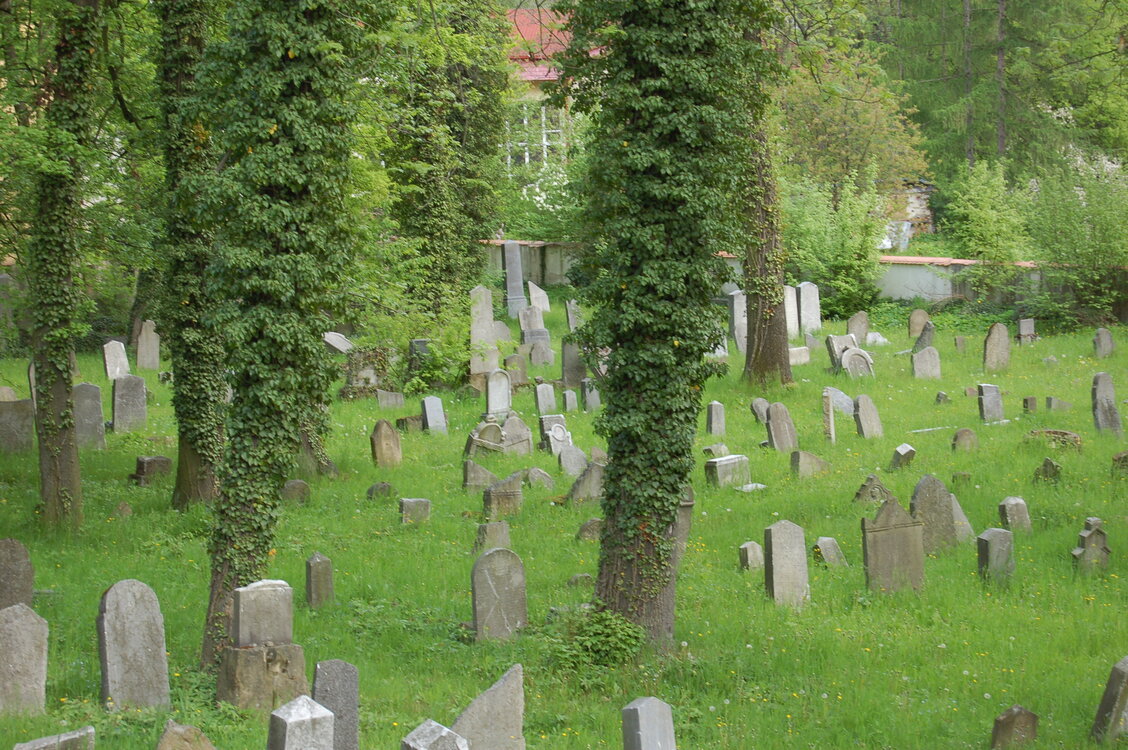 an13898.jpg