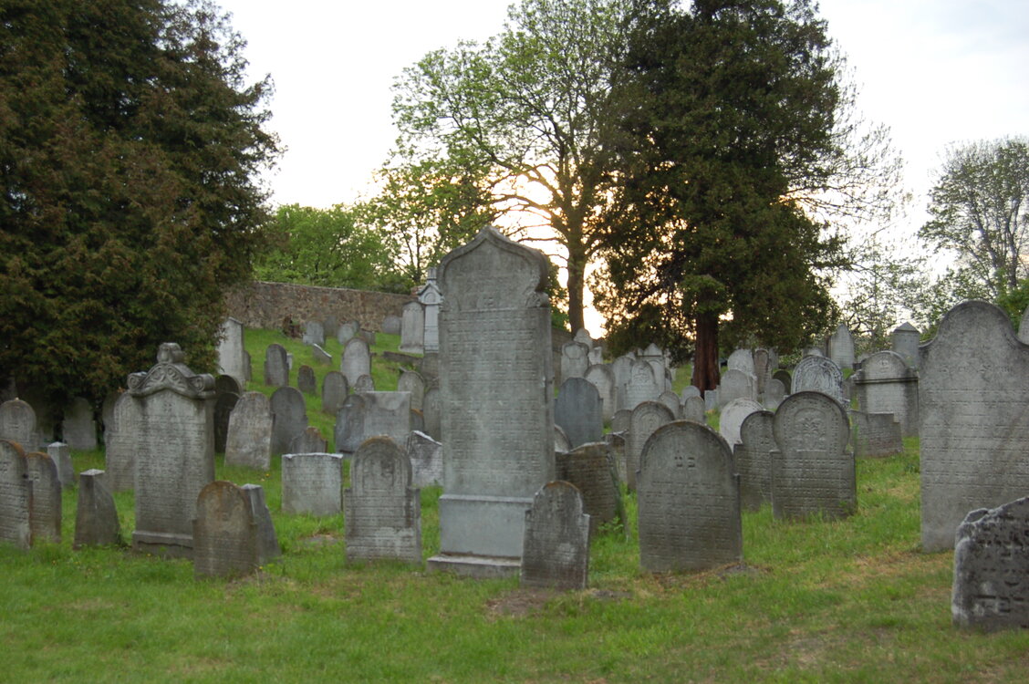 an13917.jpg