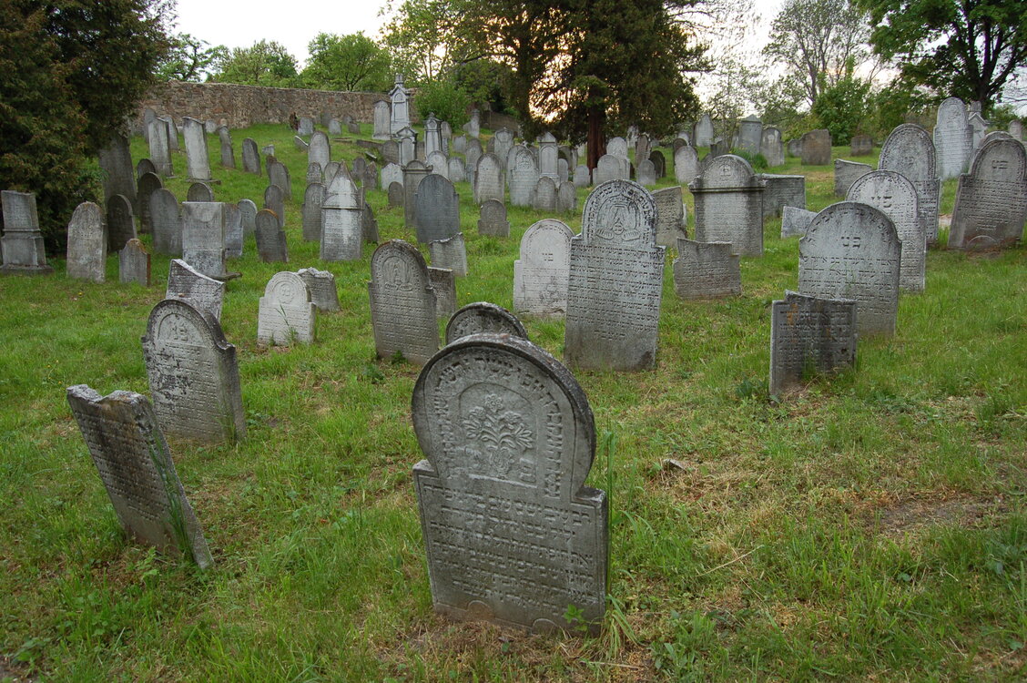 an13919.jpg