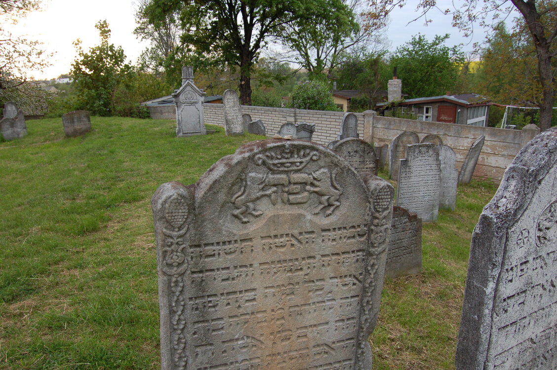an13921.jpg
