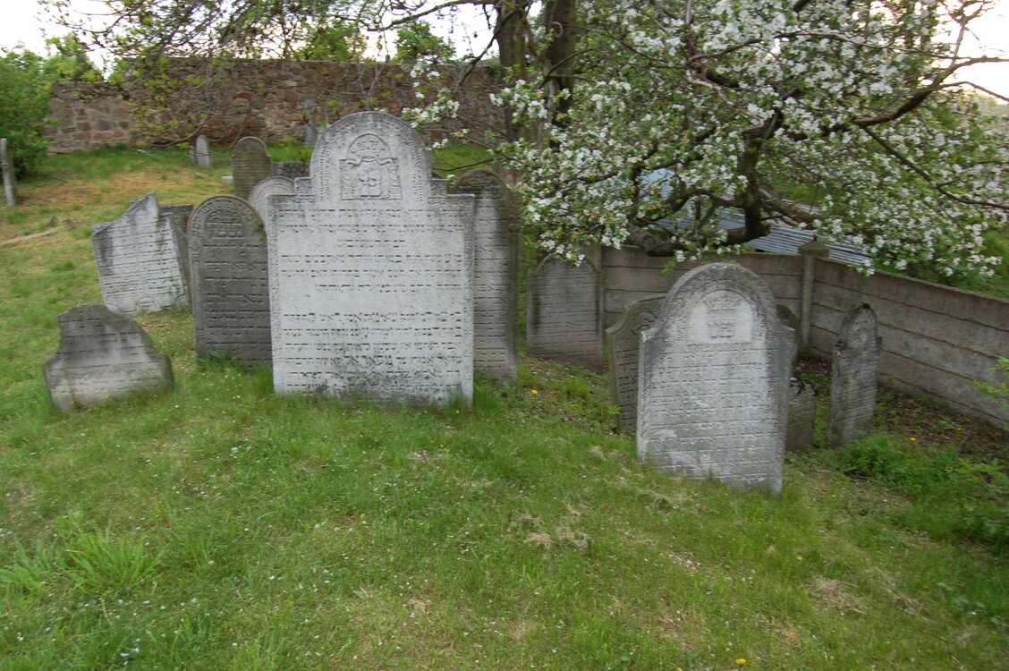 an13923.jpg