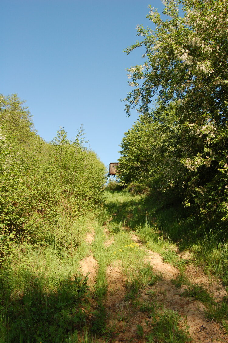 an13946.jpg
