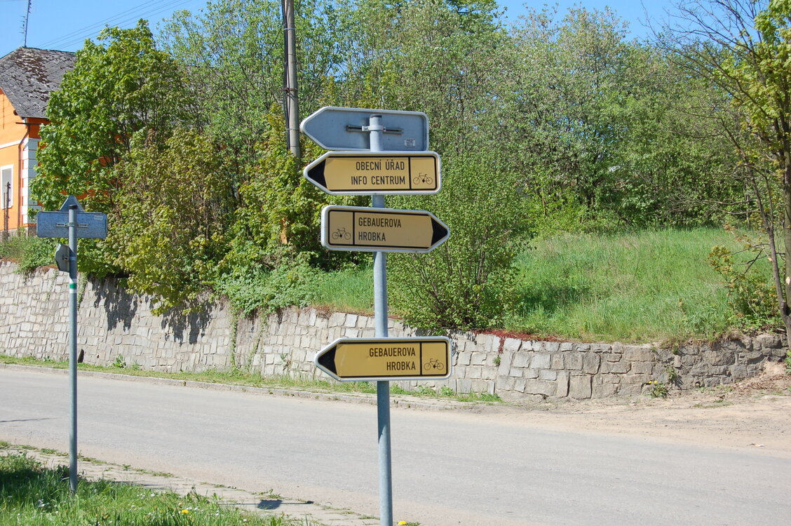 an13954.jpg