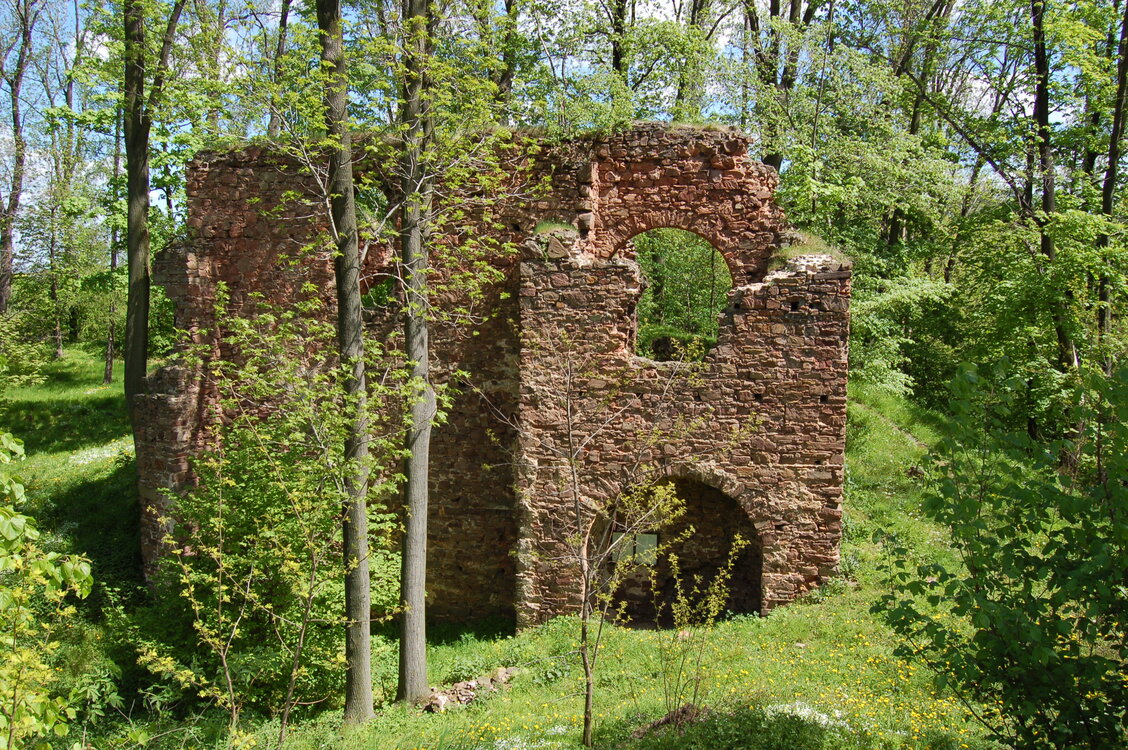 an13959.jpg