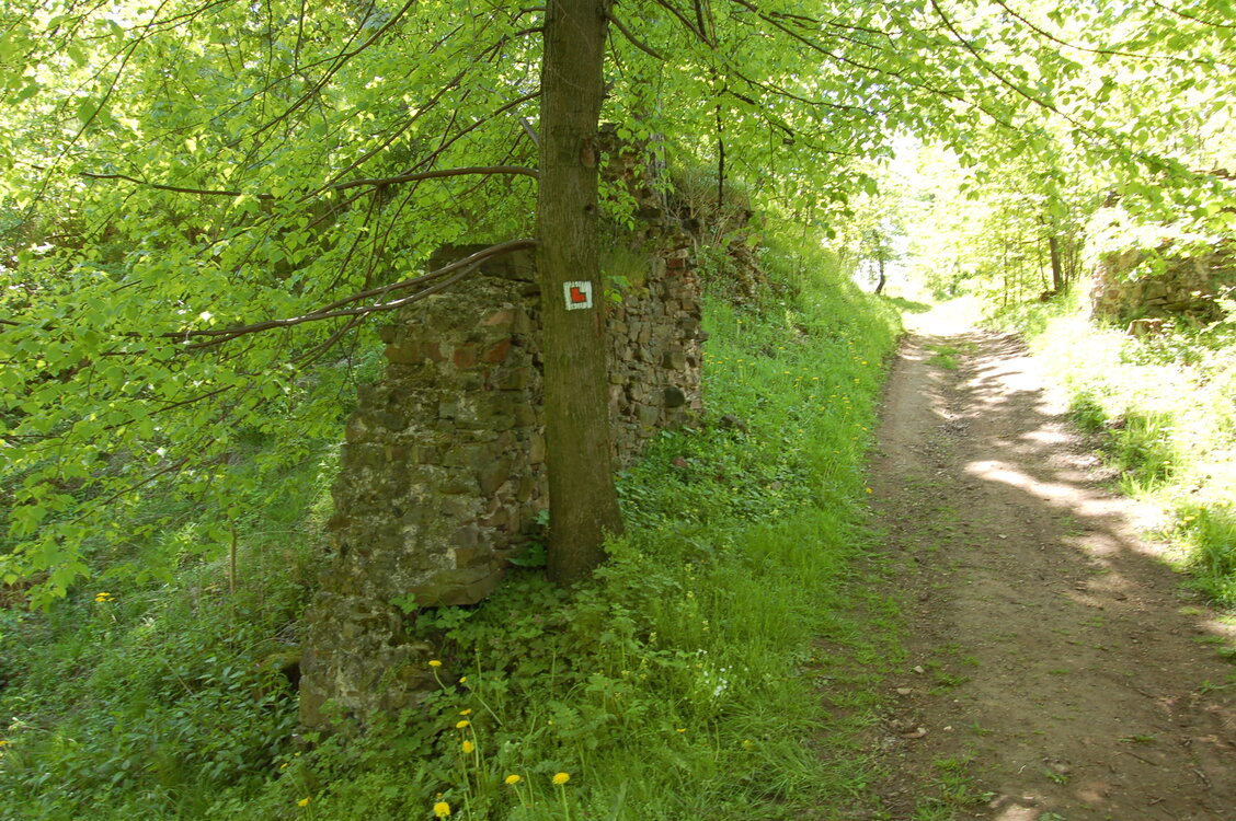 an13966.jpg