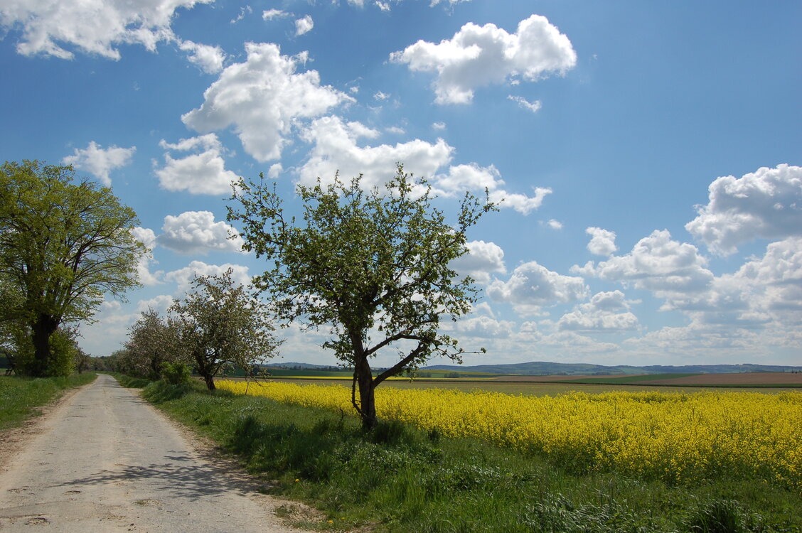 an13979.jpg