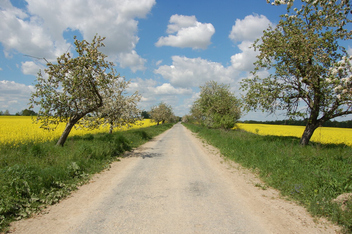 an13984.jpg