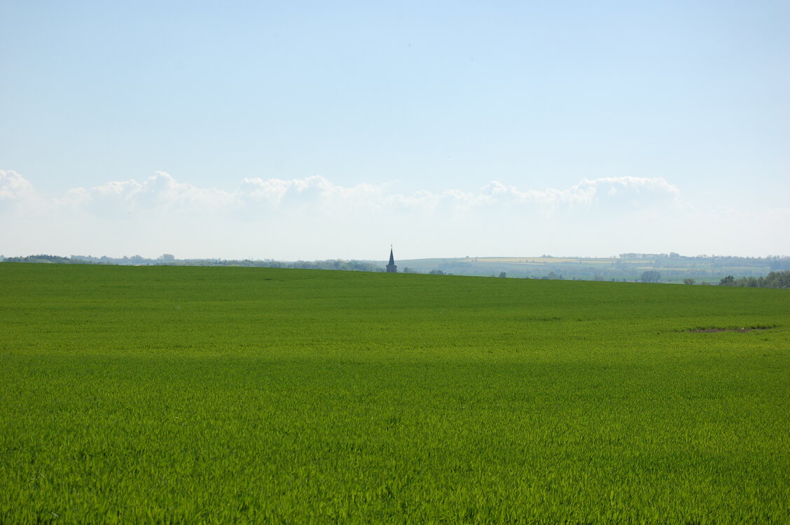 an14026.jpg