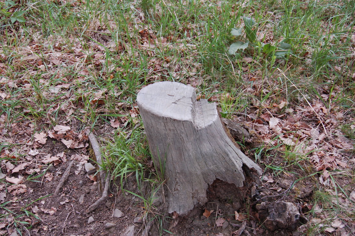 an14040.jpg