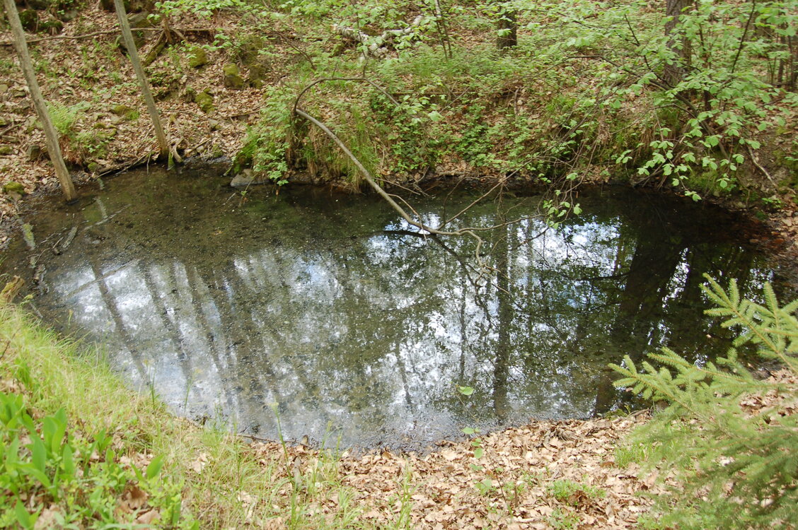 an14045.jpg